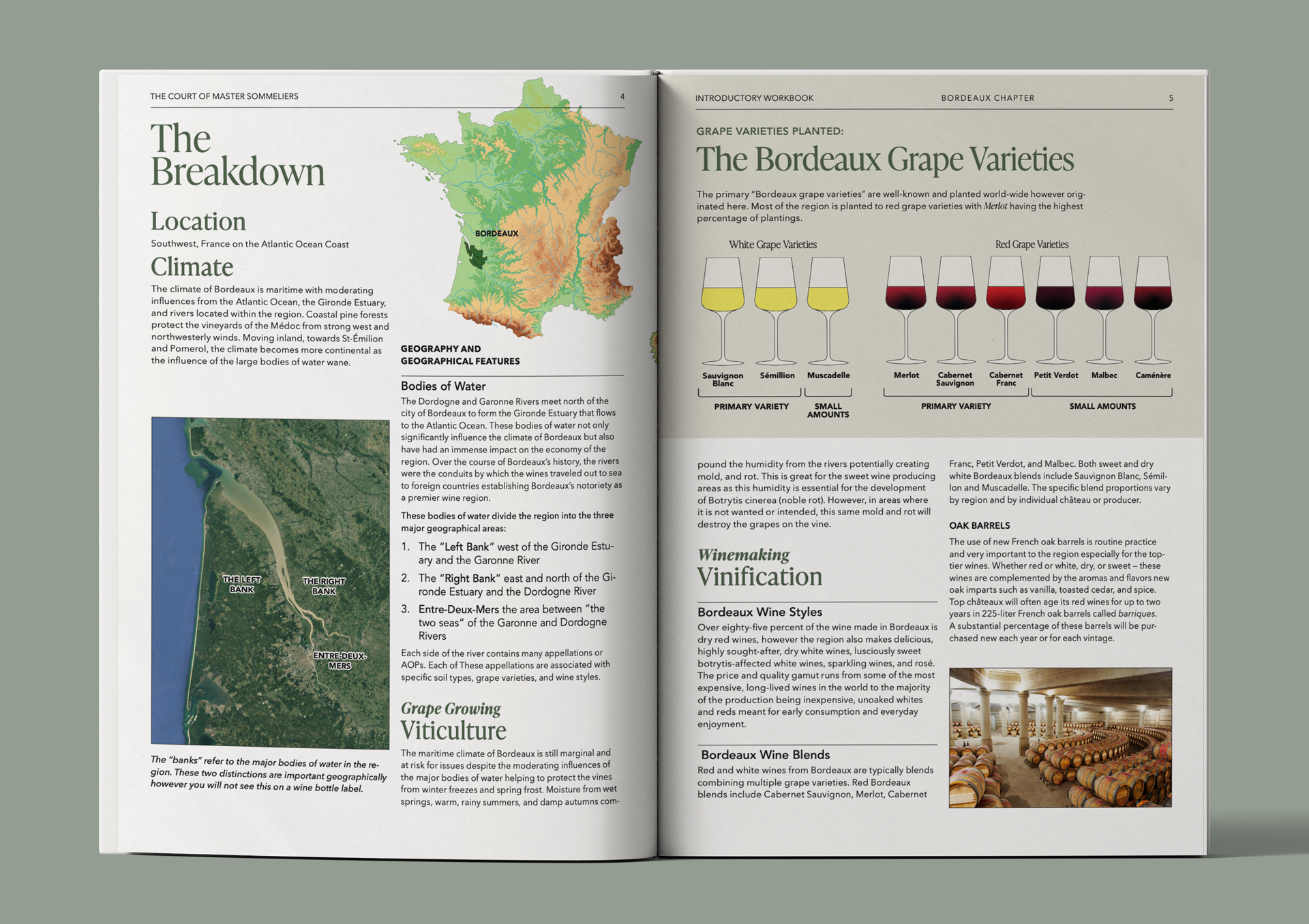 Major regions of Bordeaux and the château concept