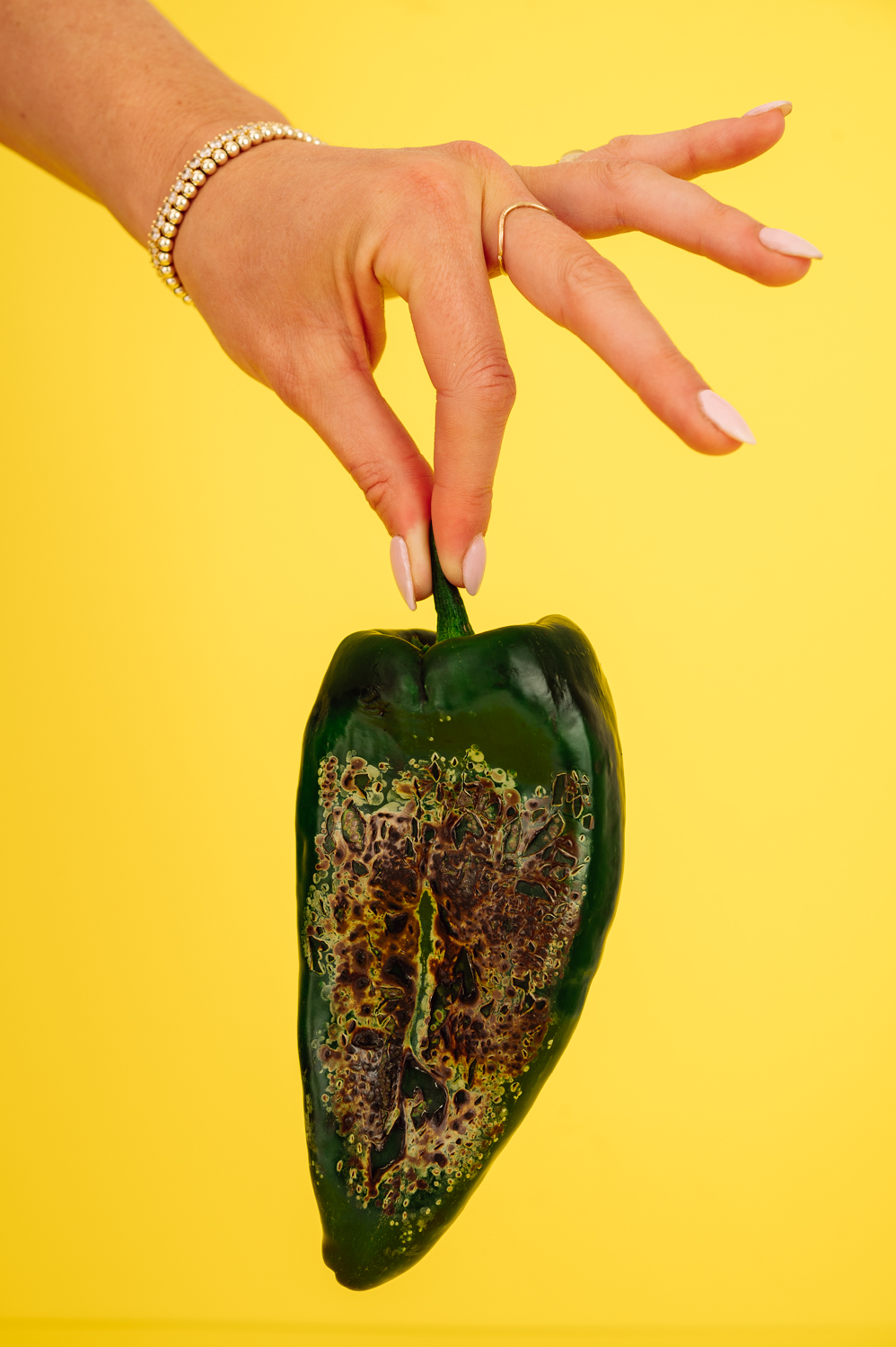 A woman's hand holding a charred pasilla against the Jala Pasilla yellow