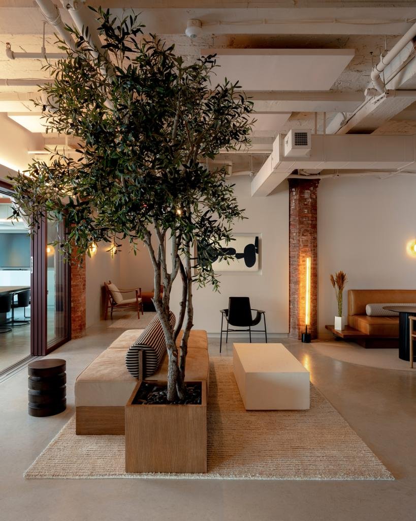 Office lounge with olive tree