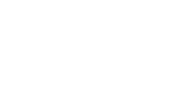 Two Blind Brothers logo in white