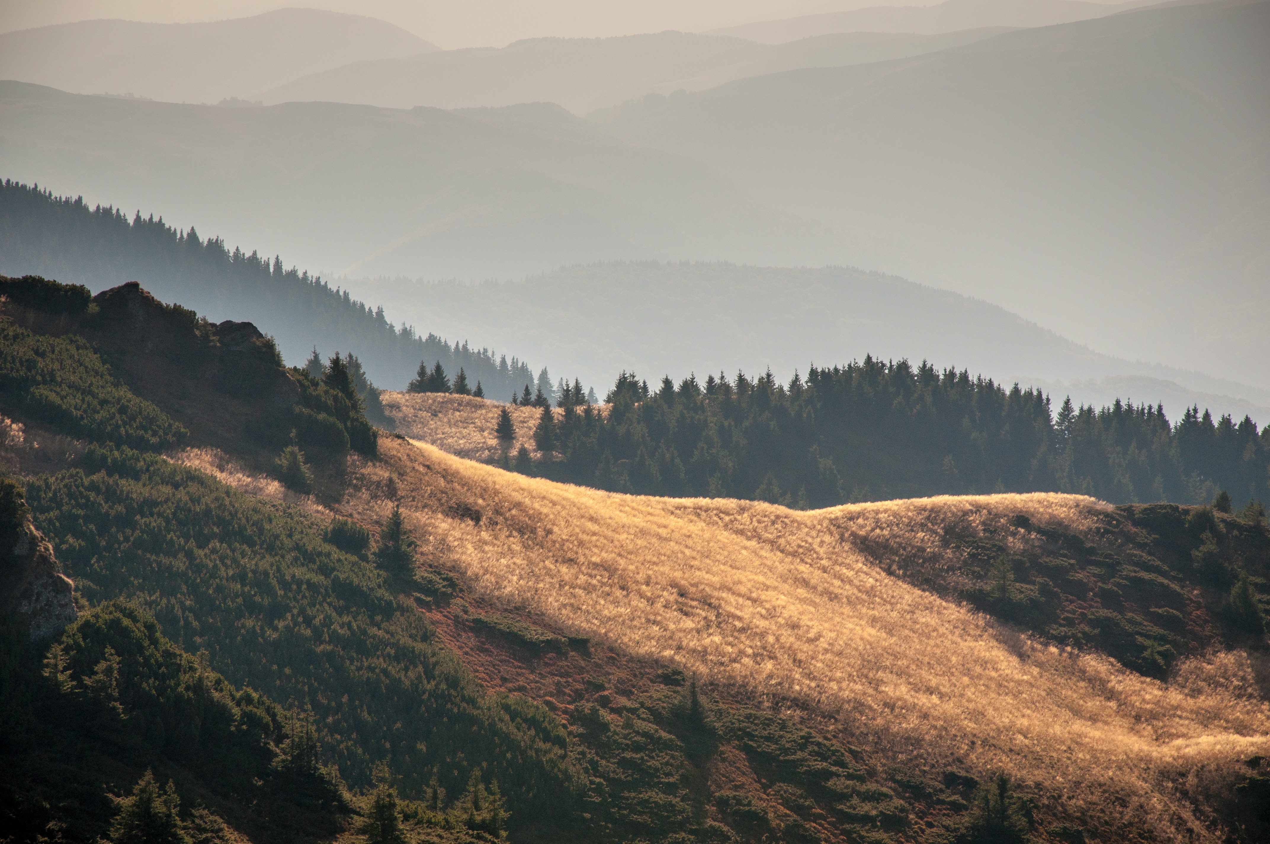 Golden hills and misty mountain ridges